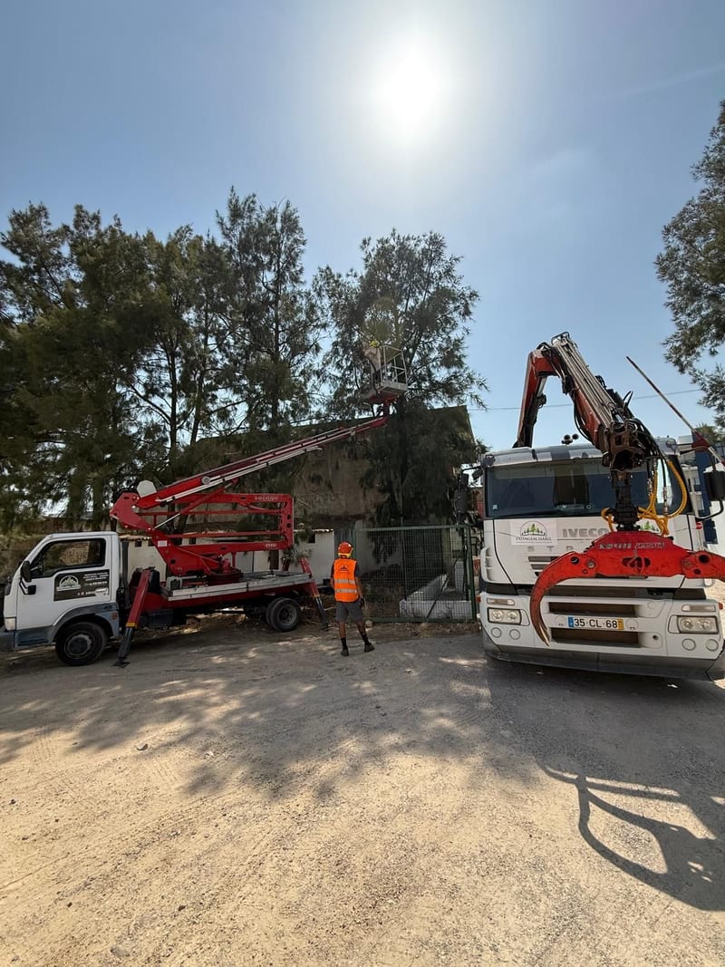 Grua e plataforma elevatória em obra