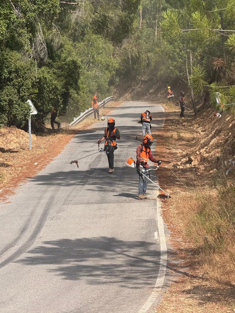 Limpeza de bermas e faixas de combustível
